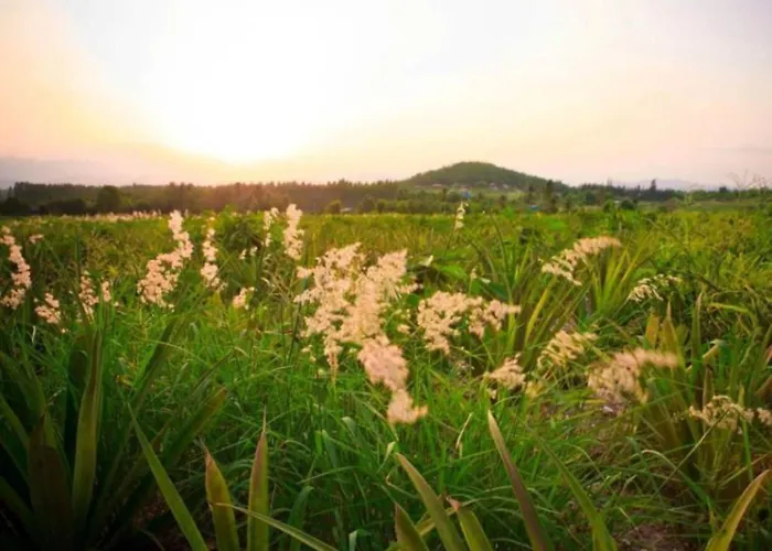 โรงแรม Baanrai Areeya 2*